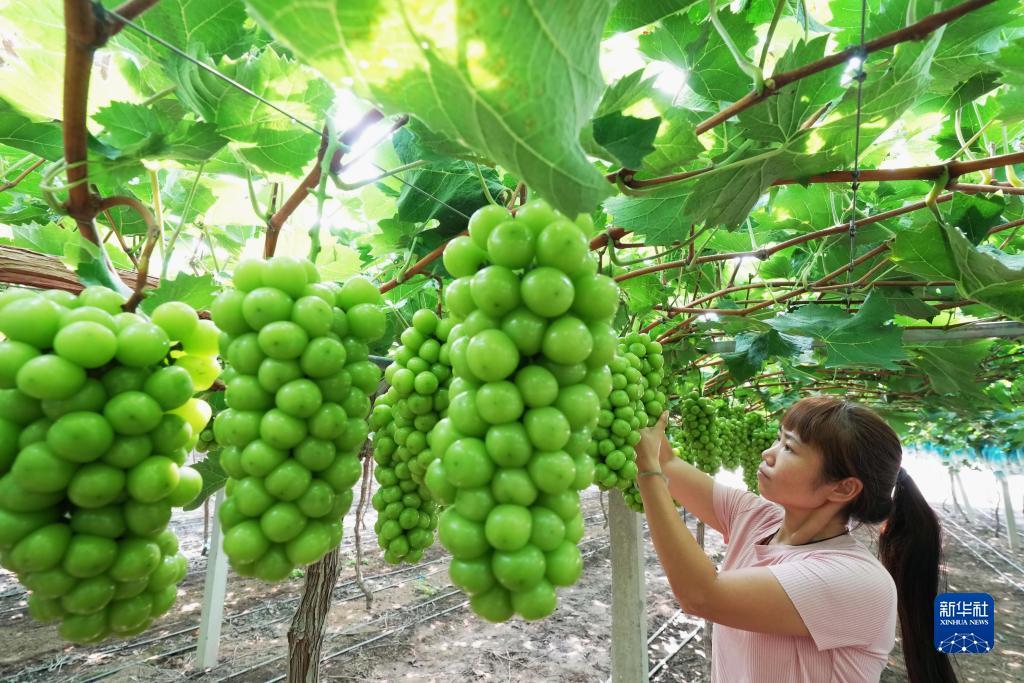 必富百富论坛
